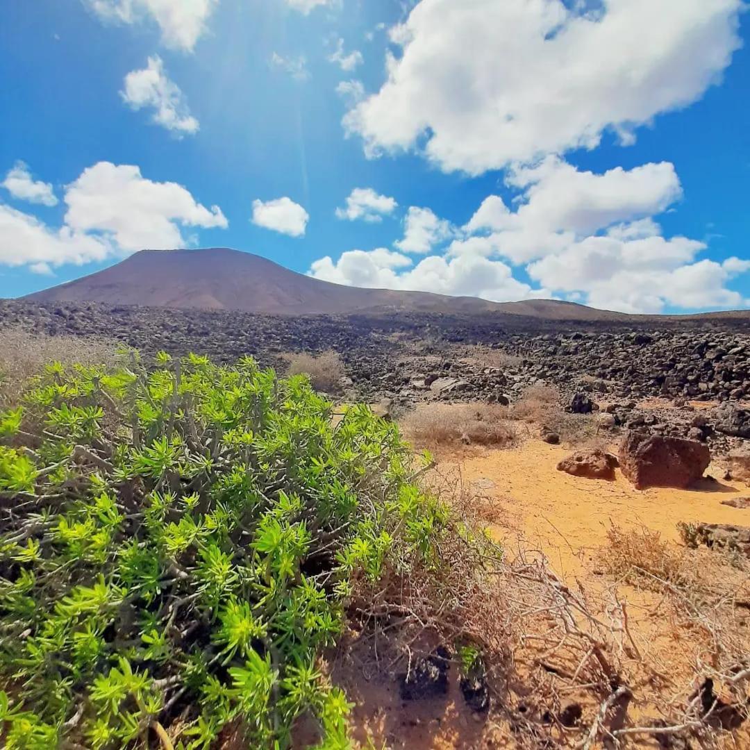 Casa Alma Corralejo Bristol Διαμέρισμα Εξωτερικό φωτογραφία